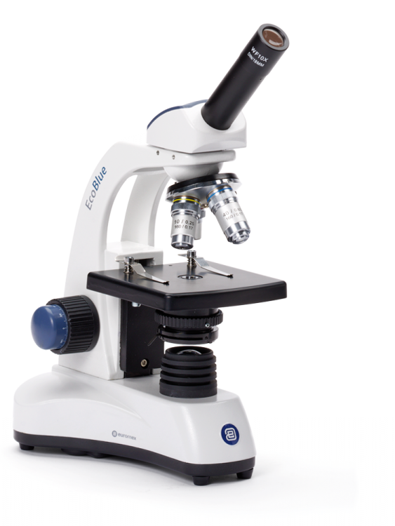 Microscope Lycée