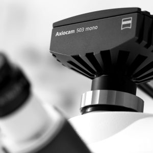 Axiocam 503 mono