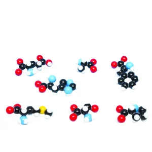 Modèle moléculaire Acides aminés